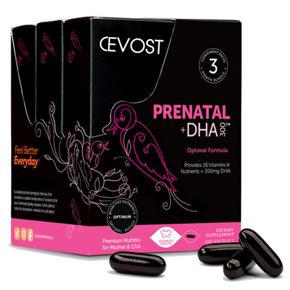Cevost Prenatal +DHA 300